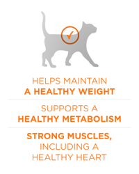Ayuda a mantener un peso saludable. Contribuye a un metabolismo saludable. Músculos fuertes y corazón saludable