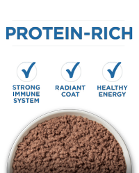 protein rich indoor senior cat food