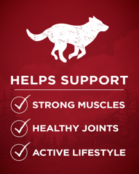 Helps support strong muscles, healthy joints, active lifestyle.