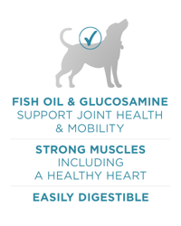 fish oil and glucosamine support joint health and mobility
