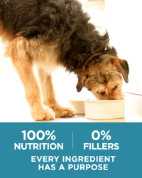 100 percent nutrition, 0 percent fillers, every ingredient has a purpose