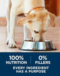 100 percent nutrition, 0 percent fillers, every ingredient has a purpose