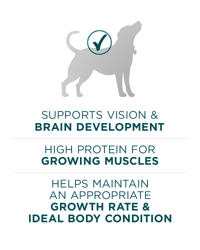 supports vision and brain development