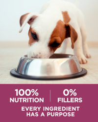 Morselitos de carne tierna ricos en proteínas. Sistema inmunológico fuerte, pelaje radiante, energía saludable