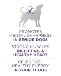 promotes mental sharpness in senior dogs