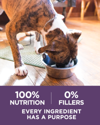 100 % de nutrición, 0 % de rellenos, cada ingrediente tiene un propósito