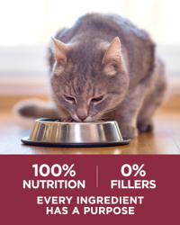 100 % de nutrición, 0 % de rellenos, cada ingrediente tiene un propósito