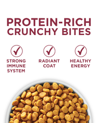 protein-rich crunchy bites