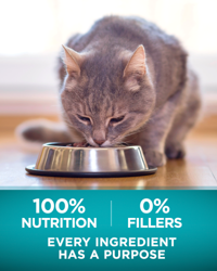 cada ingrediente tiene un propósito