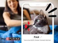 a cat lying on a person's lap