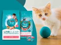 a cat next to a blue ball