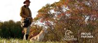 man with dog training bag outside with a yellow lab at his side looking to the right