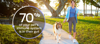 A woman walking a dog on a sidewalk