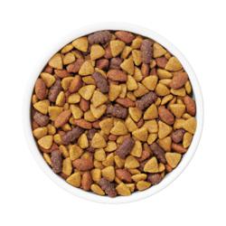 Purina Dog Chow Complete Adult Dry Dog Food With Real Chicken kibble in white bowl