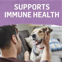 fortalece la salud del sistema inmunitario