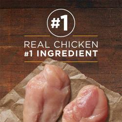 po dog wet ml cg cknbrnrc fb1