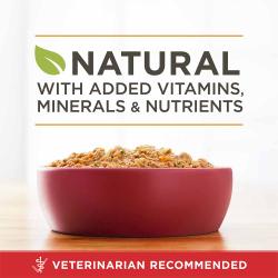 po dog wet ml cg cknbrnrc prdoop adv