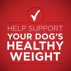 Help support your dog's healthy weight