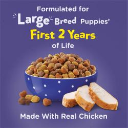 dc large breed for first two years