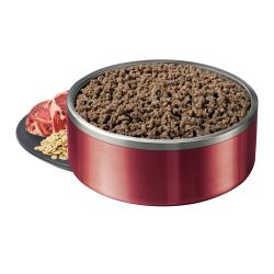 Alimento húmedo para perros en un plato rojo