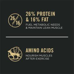 Fuel Metabolic Needs & Maintain Lean Muscle