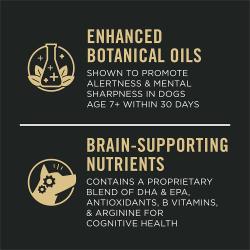 Aceites botánicos mejorados, nutrientes que mejoran el cerebro