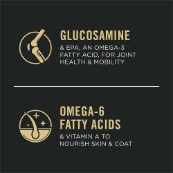 Glucosamina, ácidos grasos omega 6