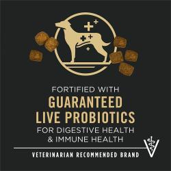 Enriquecido con probióticos vivos garantizados para mantener la salud digestiva e inmunitaria