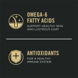 omega-6, antioxidantes
