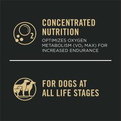 Concentrated Nutrition