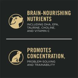 Promotes Concentration