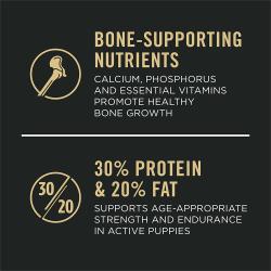 30% Protein 20% Fat