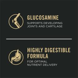 Glucosamine