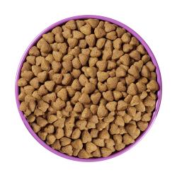 Pieces of feed