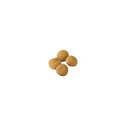 Purina Pro Plan Large Breed Weight Management Chicken & Rice Formula dry dog food kibble.
