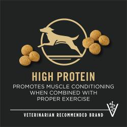 Dog food package label highlighting 'High Protein' and 'Veterinarian Recommended Brand'
