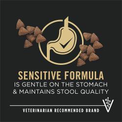 Dog food package label highlighting 'Sensitive Formula' and 'Veterinarian Recommended Brand'
