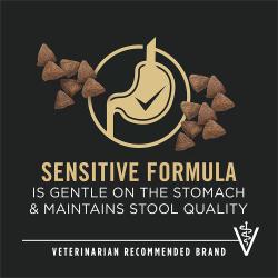 Dog food package label highlighting 'Sensitive Formula' and 'Veterinarian Recommended Brand'