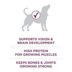 supports vision & brain development. High protein for growing muscles. Keeps bones and joints growing strong.