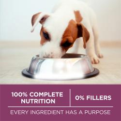 100 percent nutrition 0 percent fillers. Every ingredient has a purpose
