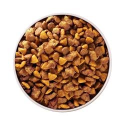 Purina ONE +Plus Healthy Puppy Formula Dry Dog Food in bowl