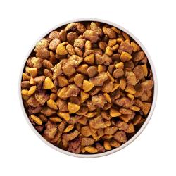 Purina ONE +Plus Healthy Puppy Formula Dry Dog Food in bowl