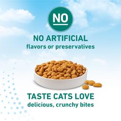 Sin sabores artificiales ni conservantes