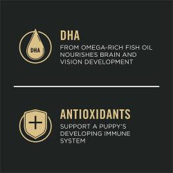 Dog food package label highlighting 'Antioxidants' and 'DHA'