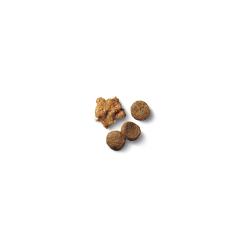 Purina Pro Plan Puppy dry dog food kibble