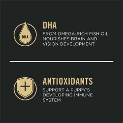 Dog food package label highlighting 'Antioxidants' and 'DHA'