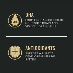 Dog food package label highlighting 'Antioxidants' and 'DHA'