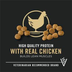 Dog food package label highlighting 'High Quality Protein' and 'Veterinarian Recommended Brand'