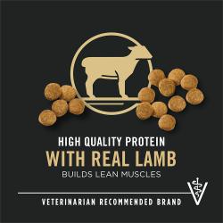 Dog food package label highlighting 'High Quality Protein' and 'Veterinarian Recommended Brand'