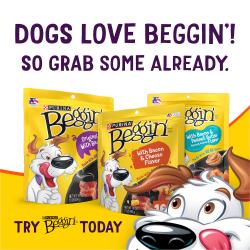 dogs love beggin, so grab some already.